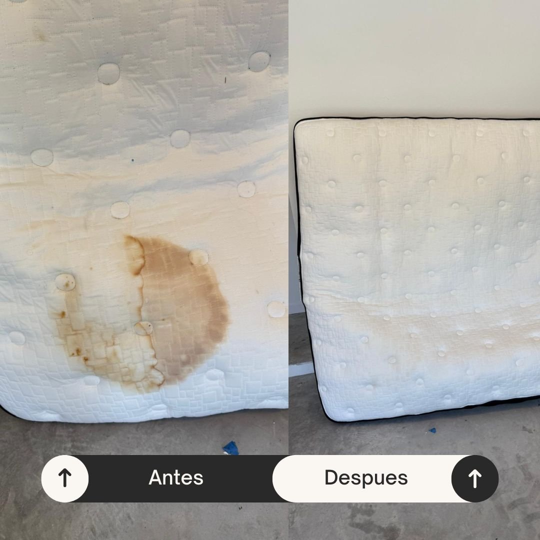 Limpieza de colchones en Miami